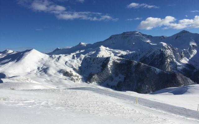 Plein Sud
