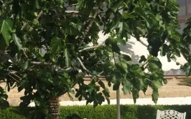 Zia Bi Bed and Breakfast