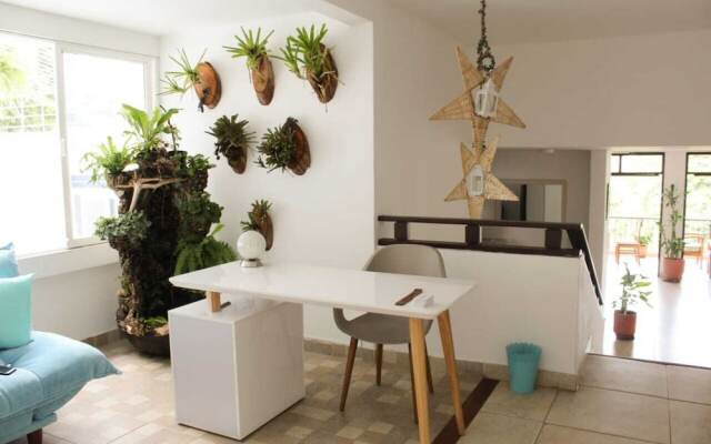 Soul Garden Yoga Hostel & Art Café