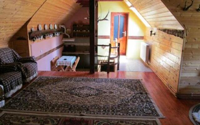 Casa de vacanta Vidrighin