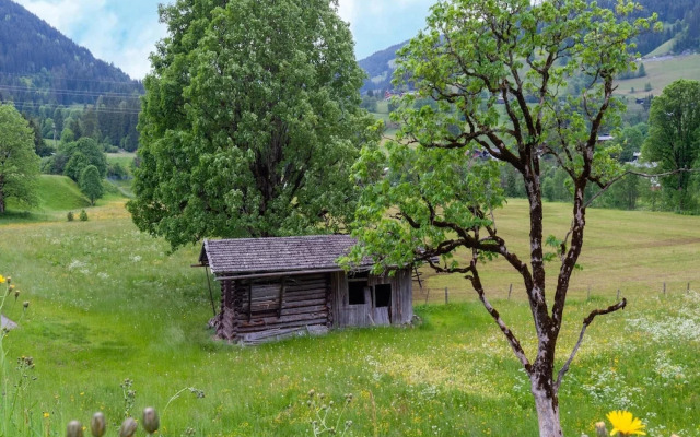 Spacious Holiday Apartment Near Kitzbuhel