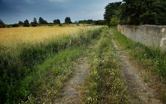 Señorío de Los Bazán