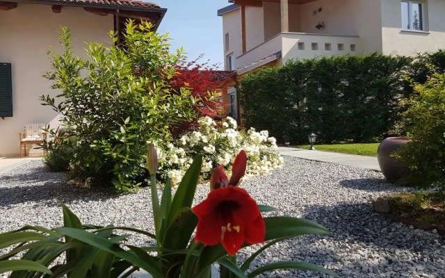 La Rosa Gialla