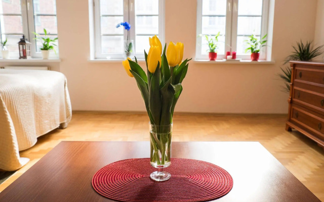Apartamenty VNS