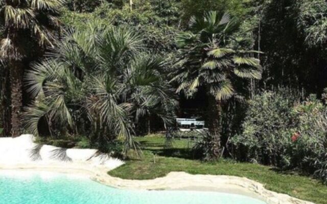 Domaine du Grand Loustau