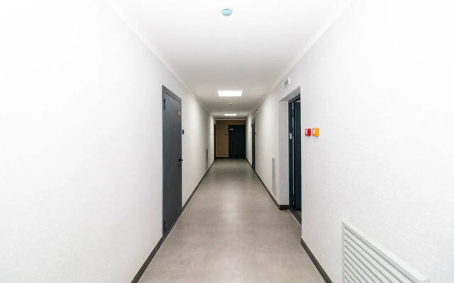 Apartments on Novoselov street 107