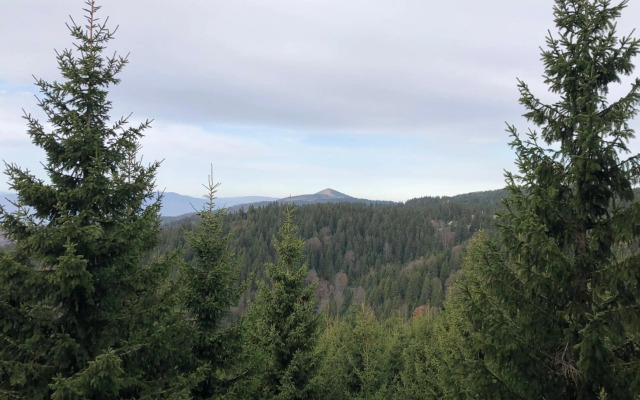 Vila Planinsko Blago Luxury Apartmans