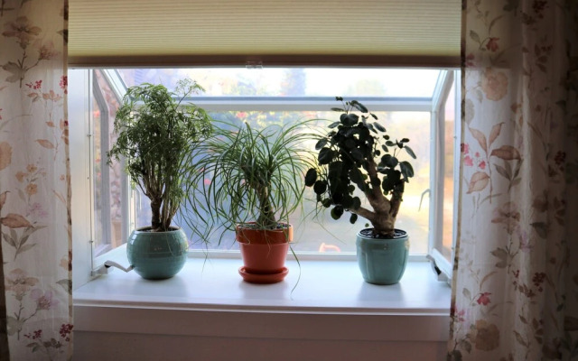 River Stone Inn & Gallery