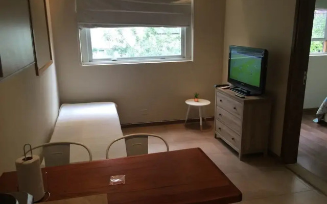 Cozy apt in the heart of Mendoza