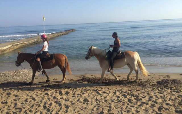 Arion Stables & Apartments