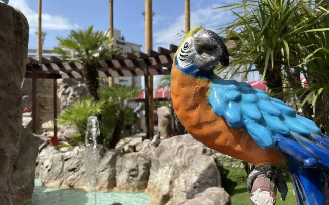 Hotel Palms - Adults Only
