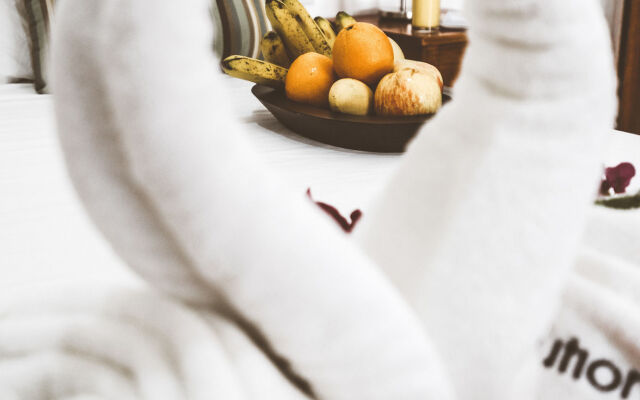 Evolution Dive and Beach Resort