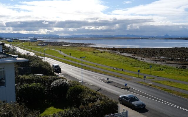 Ocean View Luxury Penthouse full of art