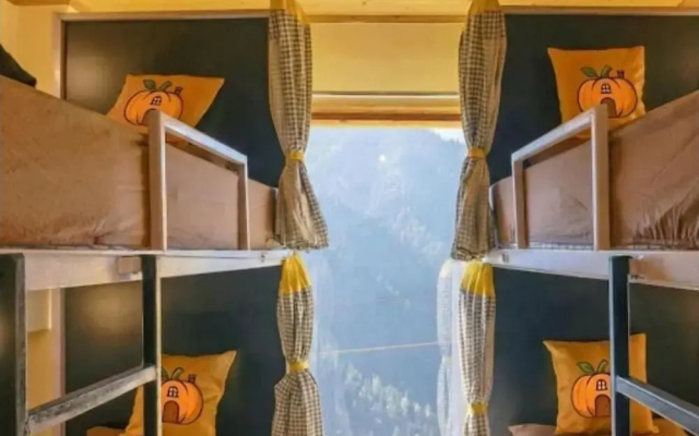 Pumpkin Hostel Shoja