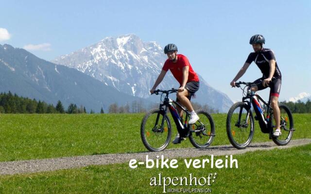 Pension Alpenhof