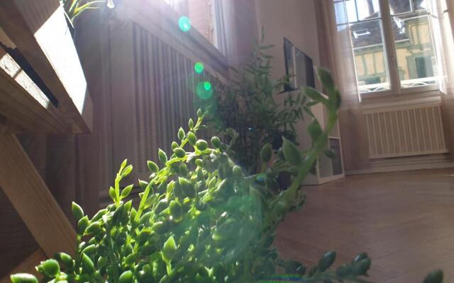 Au 36, Les Apparts Hotel Joigny