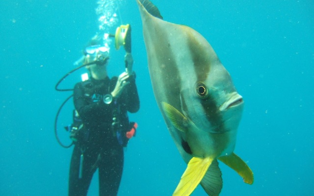 Azura Benguerra Island