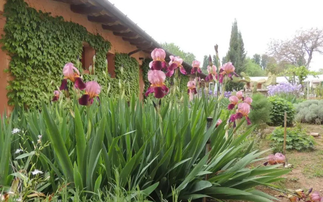 Resort Villa Manin