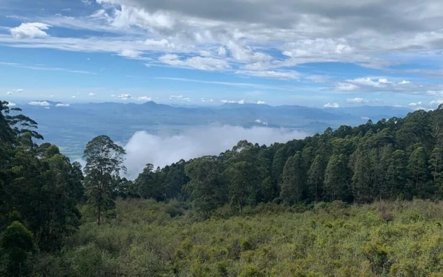 Cloud Walk