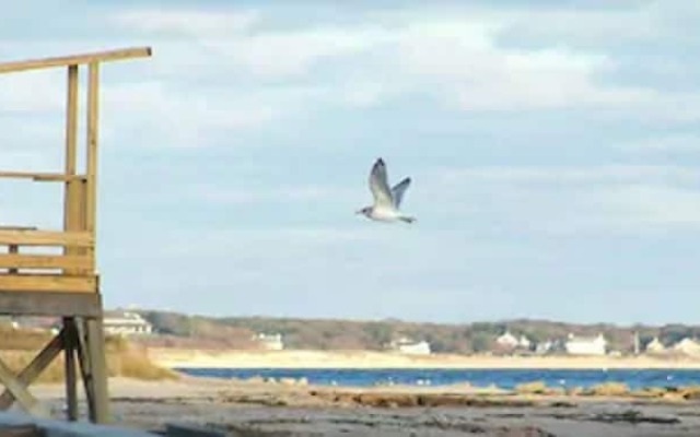Handkerchief Shoals Inn