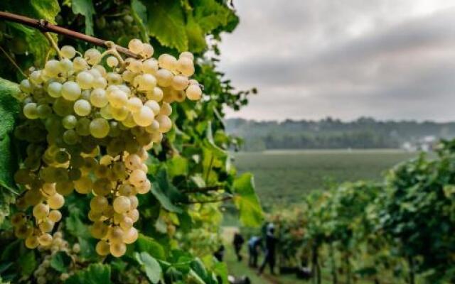 Villa Clementina, Prosecco Country Hotel