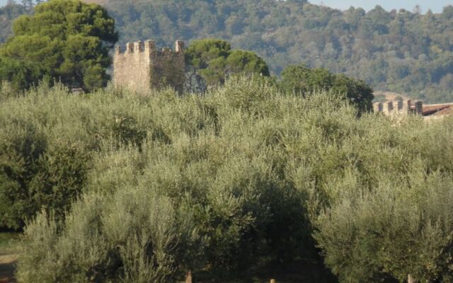 "podere Caldaruccio La Pineta - Torretta"