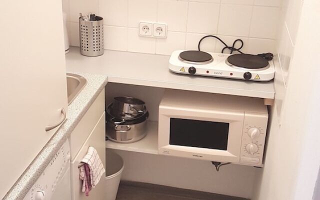 Sobieski City Apartment 12