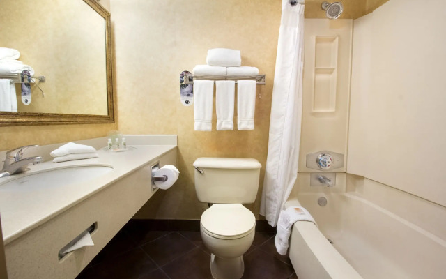 Holiday Inn Calgary-Airport by IHG