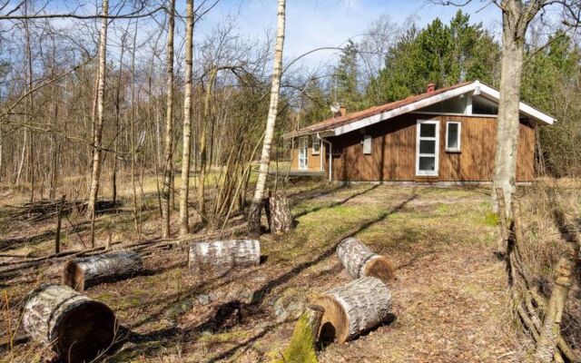 "Nicklas" - 2km from the sea in NE Jutland