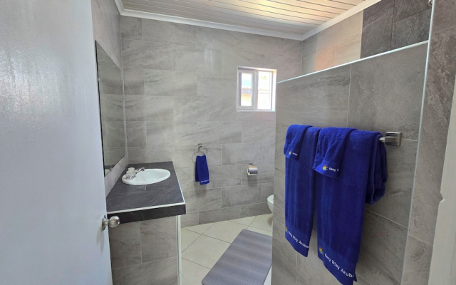 Adorable 1-bedroom Apartment 3 km From Eagle Beach