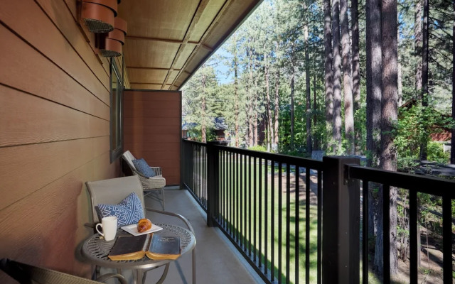 Black Bear Lodge