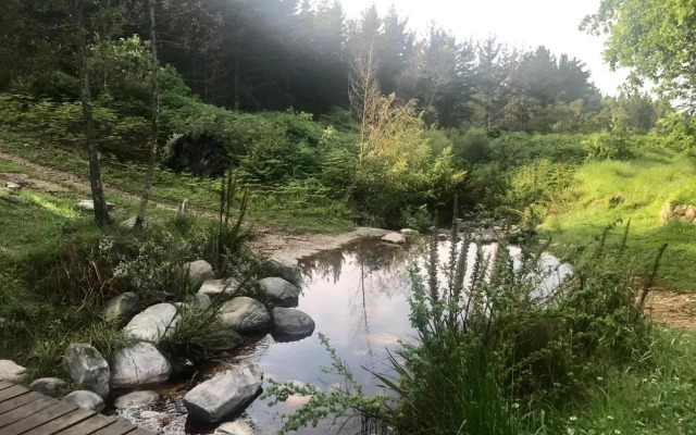 Mountain Trails Accommodation