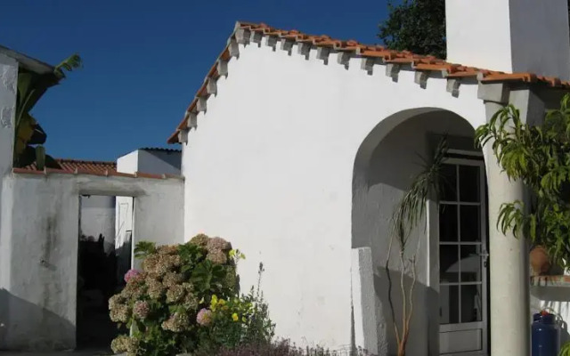 São Silvestre, Horse Farm