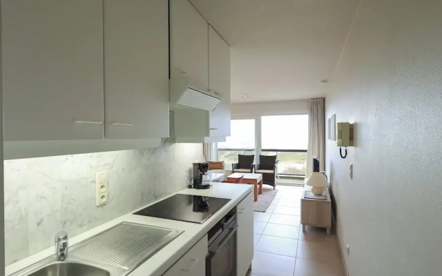 Amazing Apartment in Oostduinkerke
