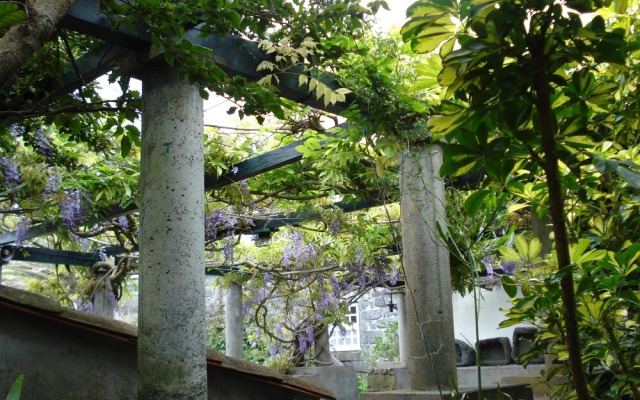 Quinta das Buganvílias