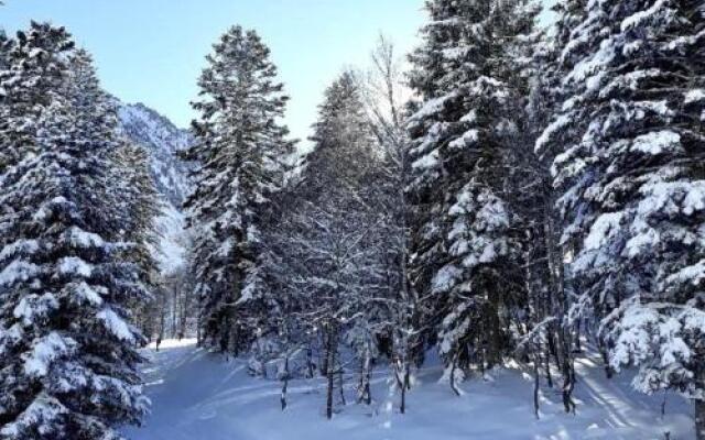 Apartment Appartement Avec Balcon Et Parking Designe