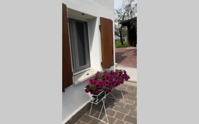 Casa tra gli Olivi