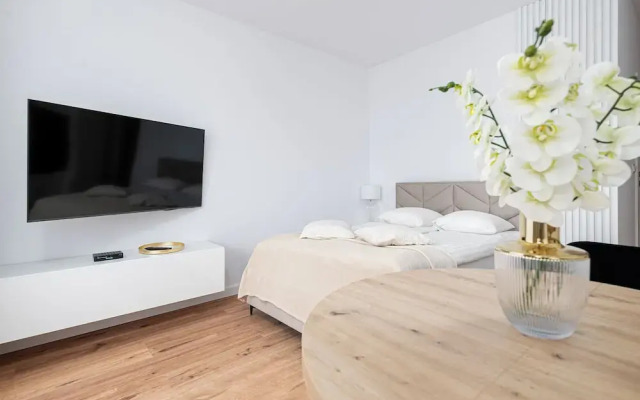 RentPlanet - Studio Źródłowa