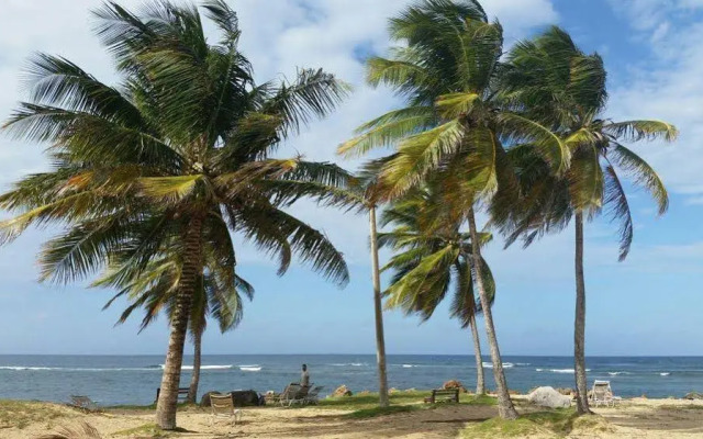 Dorado Centrally Located Guest House