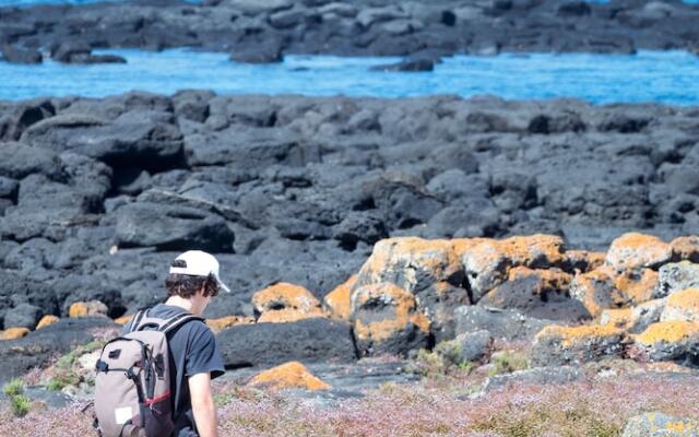 Sails - Elegant, spacious beach villa