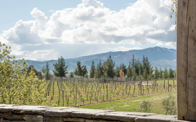 Grey Ridge Vineyard Experience