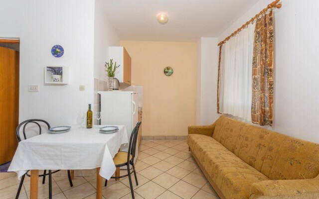 Beautiful Apartment in Rasopasno With Wifi