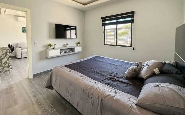 Urban Oasis Apartment 1