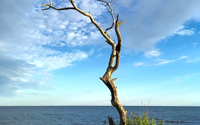 Rum på landet