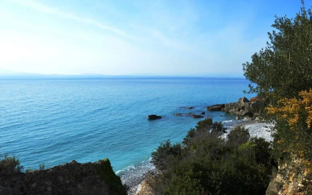 Comfy Studio With Garden