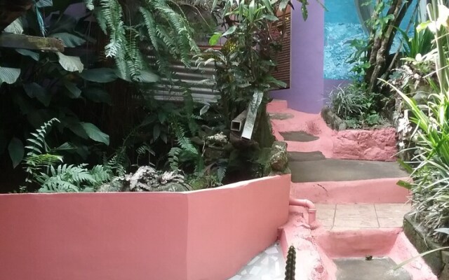 Tony & Aldona's Retreat
