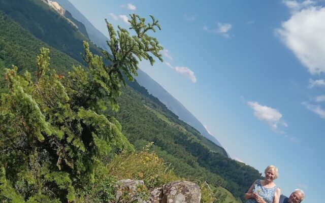 Room in Guest Room - Rural Holiday Transylvania