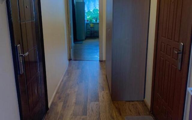 Cozy 1-bedroom apartment in the city centre.