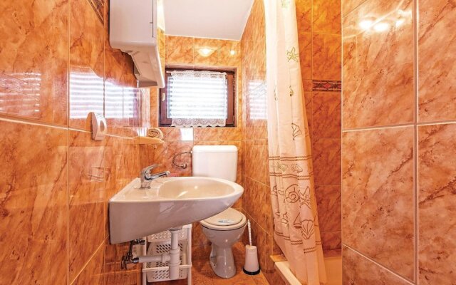 Nice Apartment in Liznjan With 1 Bedrooms