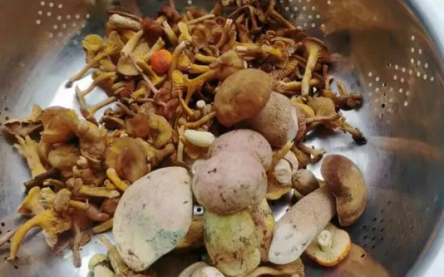 Qianshan – Meal – Dali
